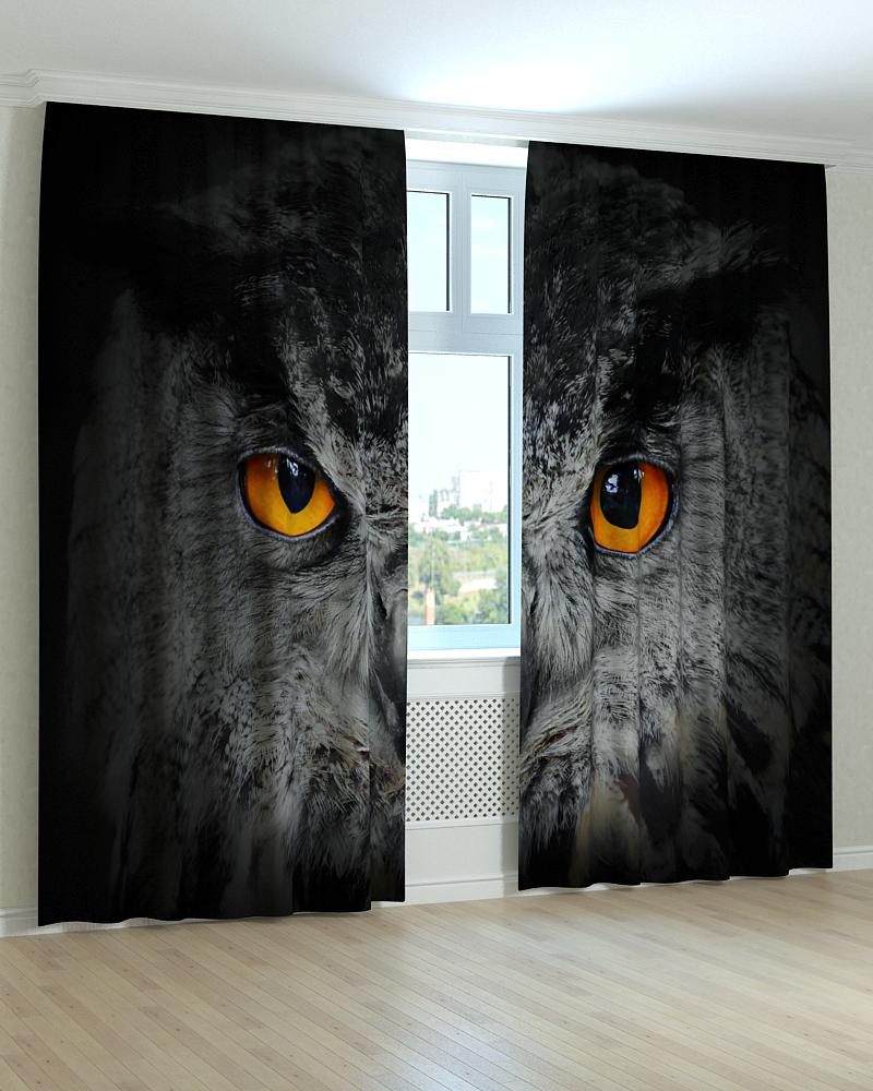 Фотоштори сова, фото 1