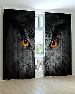 Фотоштори сова