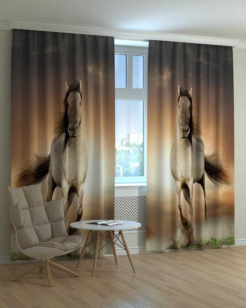 Фотоштори коні, фото 1