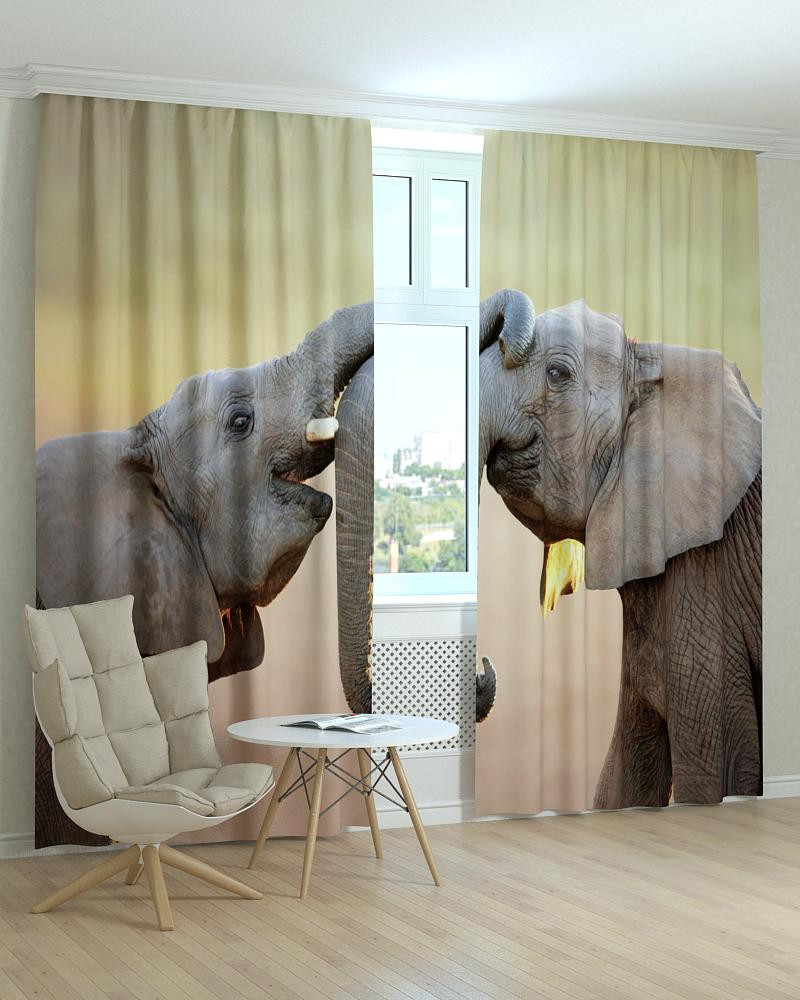 Фотоштори два слона, фото 1