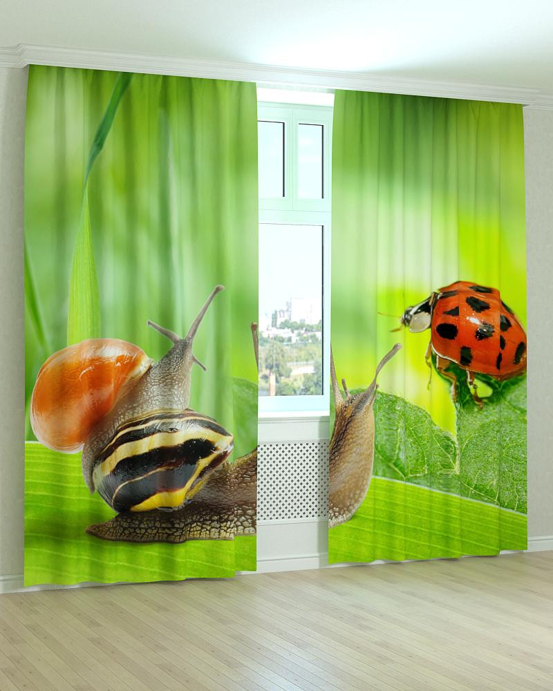 Фотоштори равлики, фото 1