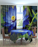 Фотошторы для кухни большой голубой цветок