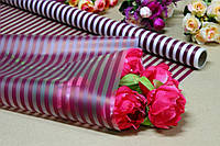Калька / плёнка упаковочная матовая для цветов 70см*10м Полоса бордовая