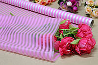 Калька / плёнка упаковочная матовая для цветов 70см*10м Полоса розовая