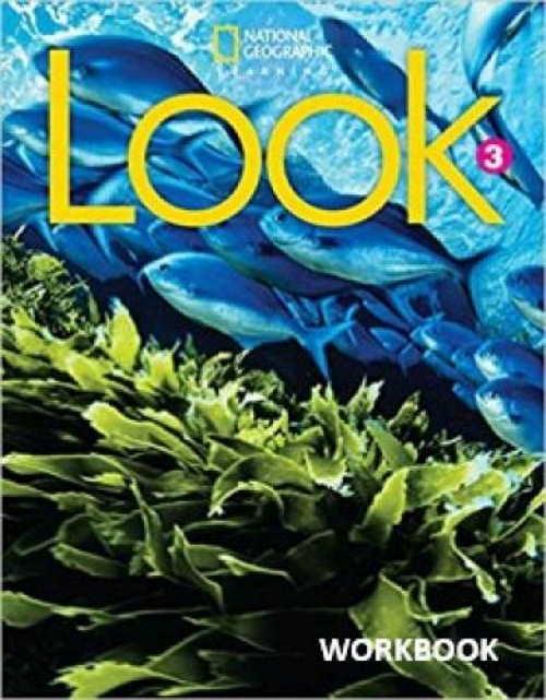 Look 3 Workbook