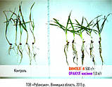 Оракул Насіння - Комплексне Мікродобриво для обробки насіння. Підвищує схожість, врожайність до 30%, фото 7