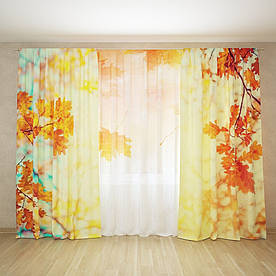 Фотоштори і фототюль осінь