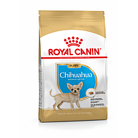 Сухой корм для собак Royal Canin Chihuahua Puppy 500 г