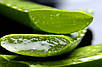 Sesderma Hidraloe Гель Алое Вера для Обличчя й тела Заспокійливий Сесдерма 250 мл Доставка з ЄС, фото 4