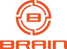 Brain