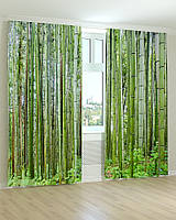 Фото штори бамбуковий ліс