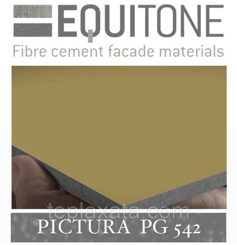 EQUITONE PICTURA (PG-542) 2530х1280х8 мм Фіброцементна фасадна панель ЕКВІТОН