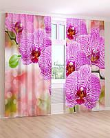 Фото шторы крупная орхидея