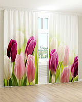 Фото штори тюльпани в бутонах