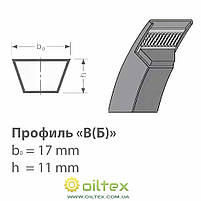 Ремінь В(Б)-1600 V-BELT, фото 3