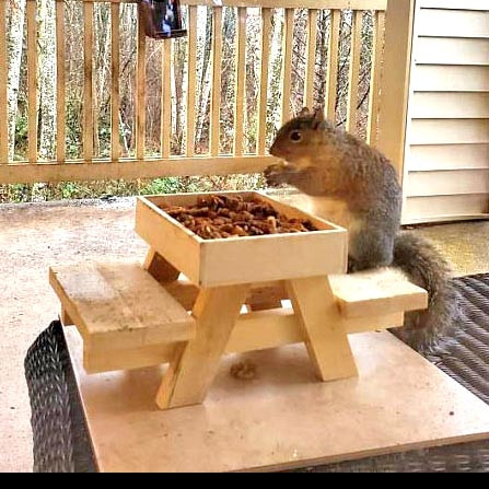 Годівниця для білок "Арахіс"