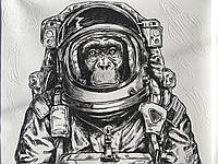 Постери на стіну Планета мавп Monkey Planet Dimense print 50 см х 50 см