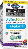 Garden of Life Dr. Formulad Probiotics Organic Kids+ 30 жавок зі смаком ягід і вишні або кавун
