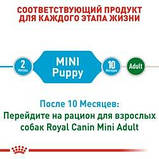 Royal Canin Mini Puppy 800г - сухий корм для цуценят дрібних порід від 2-х до 10 місяців, фото 7