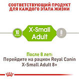 Royal Canin X-small Adult 500гр, сухий корм для собак мініатюрних розмірів від 10 міс. до 8 років, фото 4