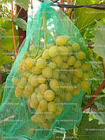 Сетка для защиты кистей винограда от ос, 30*55 см. (10 кг.)