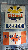 Семена подсолнечника Канада GHost Stronger (GS 35011) (ДжиХост) (под евро-лайтинг)