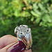Срібний Перстень зі слов'янським оберегом, фото 4