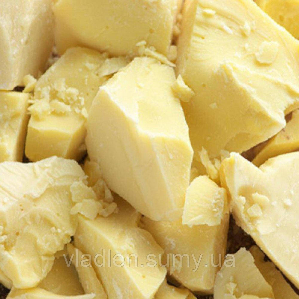 Какао-олія натуральна дезодорована SCHOKINAG Deodorized Cocoa Butter, 100 г (Польща)