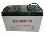 Аккумулятор Гелевый Koyosonic NPG 100