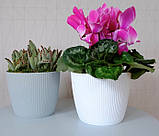 Кашпо пластикове Магнолія Джампер 300 мм білий, фото 2