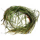 Набір для настоювання "Зубрівка", фото 2