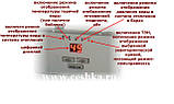 Електричні котли (Електрокотли) Protherm СКАТ — 6 кВт (220/380В), фото 4