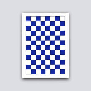 Карти гральні | Anyone Worldwide: Forever Checkerboard R. 02, фото 3