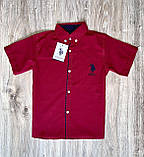 Стильний літній костюм для хлопчика 2,3,4 роки: бордова сорочка Polo та білі шорти Cool Finish, фото 3
