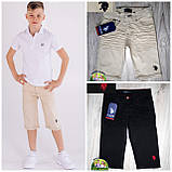 Ошатний літній костюм для хлопчика Polo: сорочка та шорти, фото 3