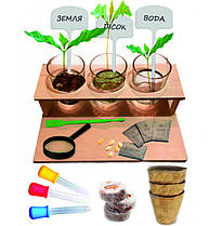 Набір лабораторний з природознавства (Досліди з рослинами)