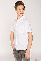 Рубашка белая с короткими рукавами (140 см.) Reporter Young