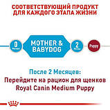 Royal Canin Medium Starter 1кг Корм для цуценят середніх порід до 2-х місяців, вагітних і годуючих собак, фото 6