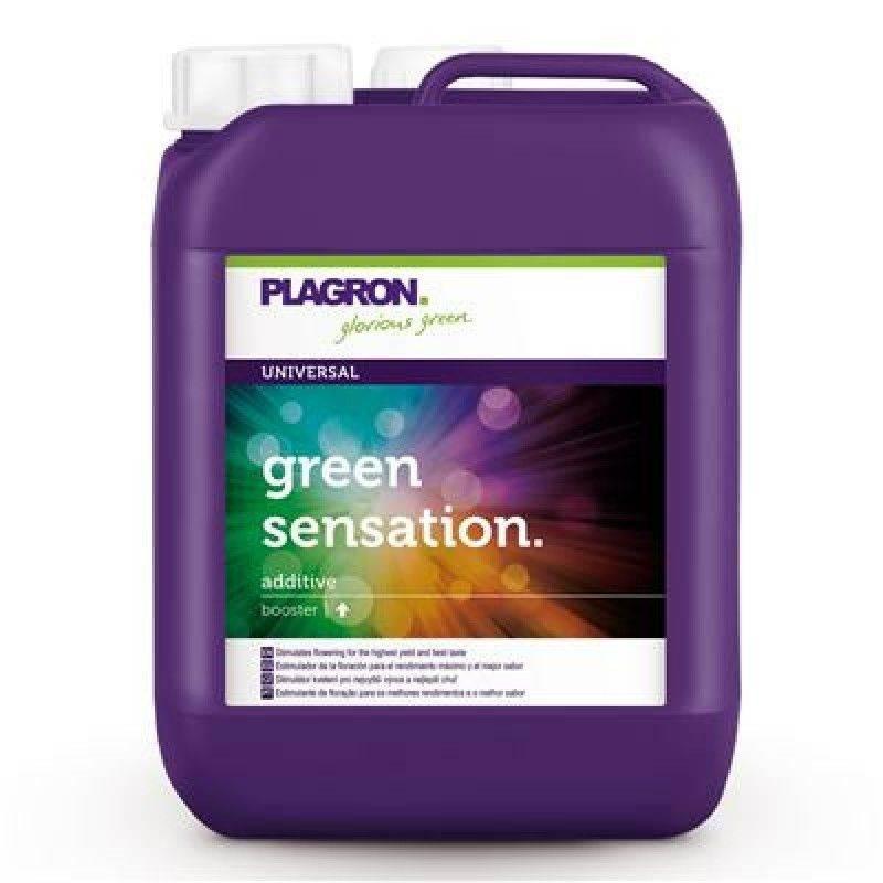 Стимулятор цвітіння PLAGRON Green Sensation (5L)