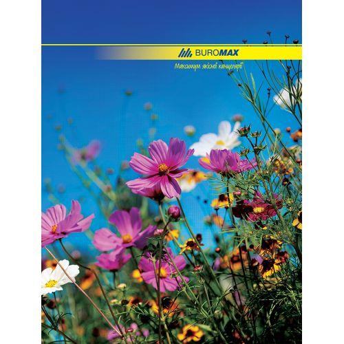 Канцелярська книга А4 для обліку Buromax 96 аркушів (BM.2400)