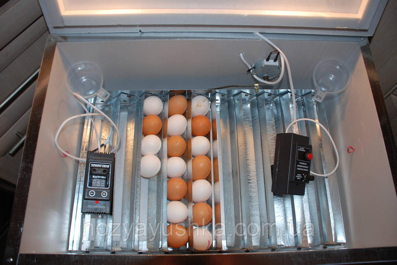 Инкубатор Наседка 70 яиц с автоматическим переворотом - фото 4 - id-p448150027