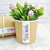 Крафт стакан БЕЗ КРИШКИ, колір крафт Для тебе, висота 10,6 см діаметр 11,5 см