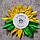 Значок Першокласник, Випускник з розеткою Соняшник, фото 4