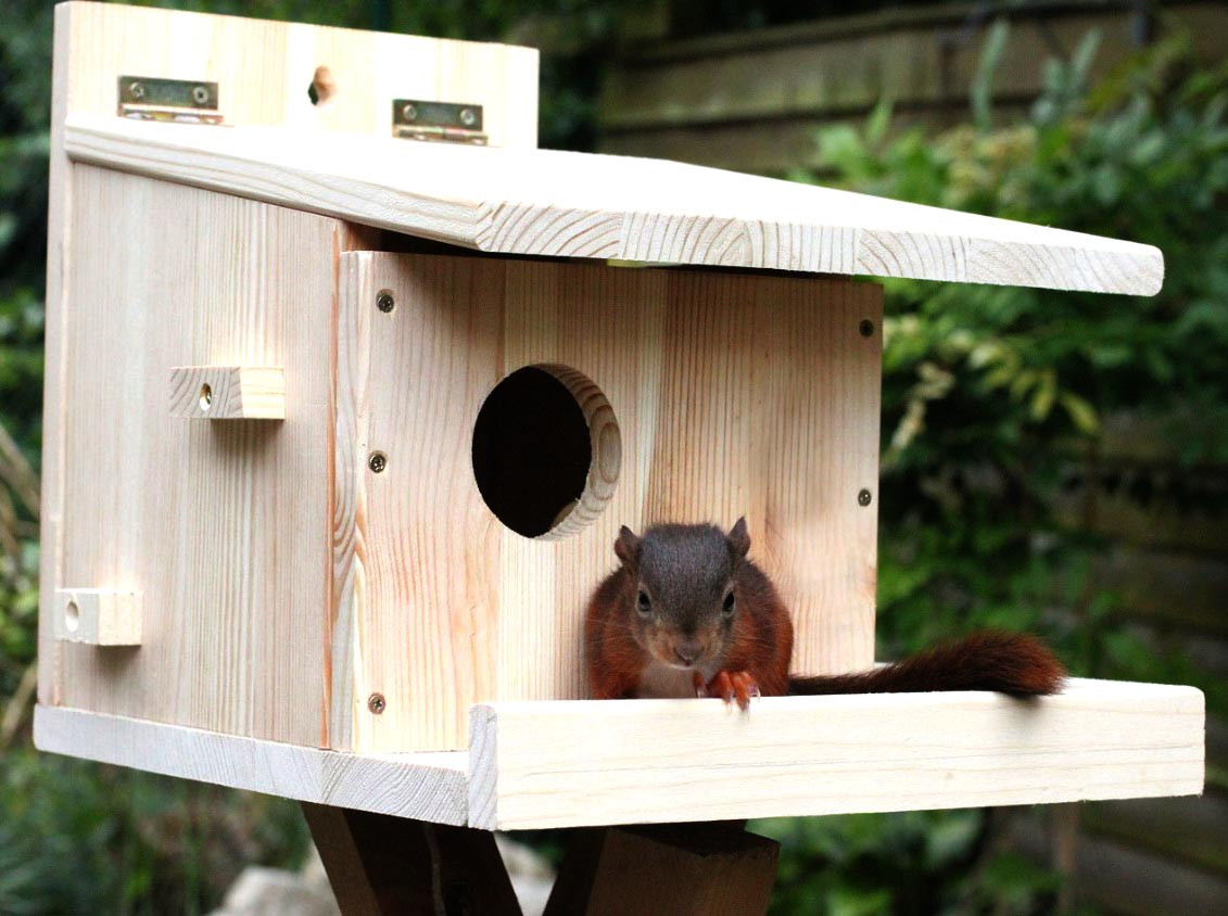 Будиночок для білок "Кукуї" бланже