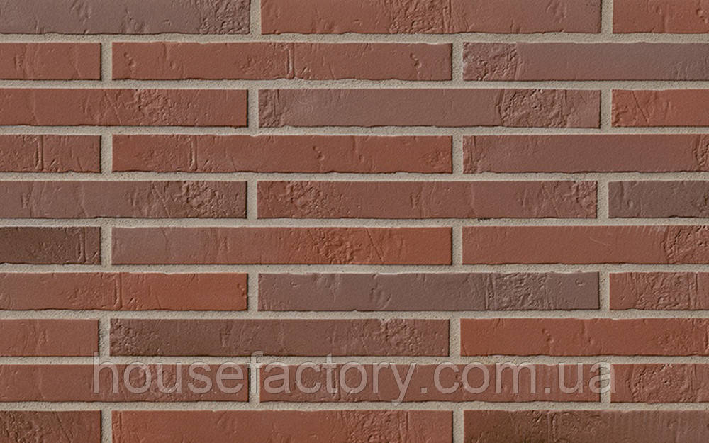 Клінкерна Плитка ABC Der Moderne blick Teuto rot-bunt Schieferstruktur 365х52х10, фото 1