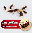 ОПТ Гель від тарганів та комах Roach doctor Cockroach Gel засіб шприц, фото 9