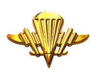 Эмблема аэромобильных войск новая, золото