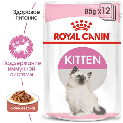 Консерви Роял канін Кітен / Royal Canin Kitten (шматочки в соусі) желе 85г, фото 2