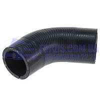 Патрубок радіатора FORD TRANSIT/CUSTOM 2012- (2.0 TDCI Короткий) IBRAS