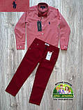 Бордові штани Polo Armani для хлопчика, фото 5